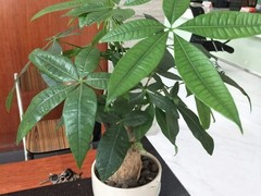 彼爱坊礼品屋