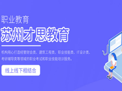 昆山才思教育