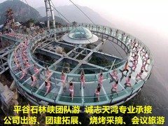 誠志天鴻