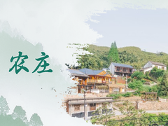 深圳智博汇农家乐深圳一日游深圳户外游