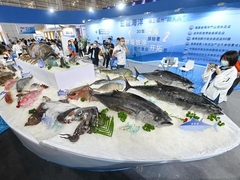 福州渔博会