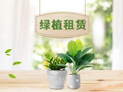乌鲁木齐假花店