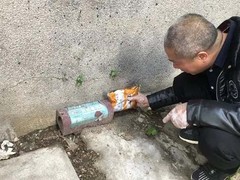 宁波灭蟑螂公司