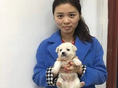 上海杨浦区上海杨浦区宠物救助领养收养收容站