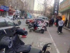 河南大果转租网1
