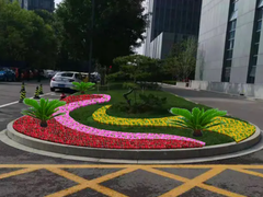 苏州绿植租摆