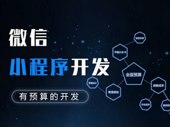金华系统开发公司