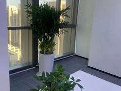天津市西青区鑫达花卉经营部