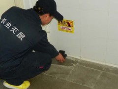嘉兴杀虫灭鼠公司