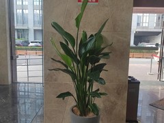 江西众源礼品有限公司