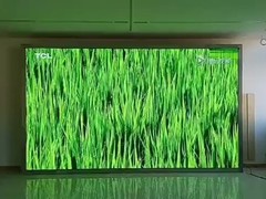 山东安彩光电