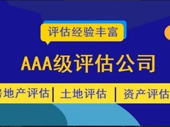 正坤资产评估咨询