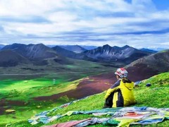 成都鑫慧咨询公司
