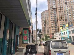 河南大果转租网1