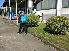 宜宾灭鼠公司