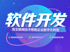 拉萨软件开发
