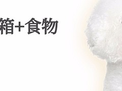 江西萌宠托运公司
