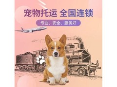 通九州包车服务