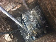 嘉兴河道清淤