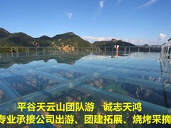 誠志天鴻