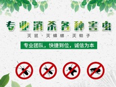 温州杀虫灭鼠公司