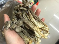 鹿茸菌种植基地