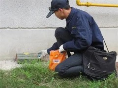 宜宾灭鼠公司