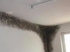 开封防腐公司