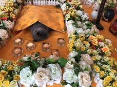 北京寵物火化