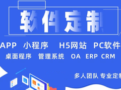 沈阳软件开发