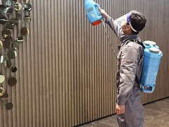 廊坊杀虫灭鼠公司