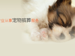 北京宠物火化