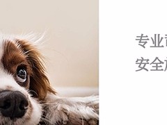 喜乐宠物托运