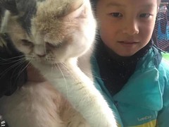 上海嘉定区宠物流浪狗流浪猫小动物救助领养收容收养中心站