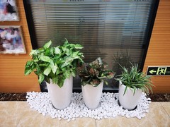 北京和雅慧通茶文化有限公司