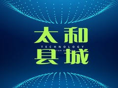 太和县汽车服务有限公司