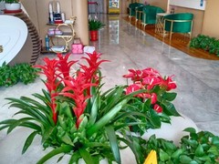 威海园林公司