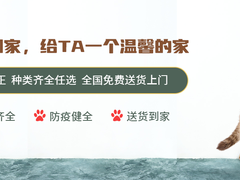 清韵猫舍
