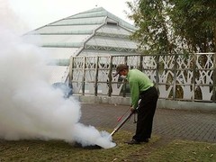 大连瑞德有害生物防治公司