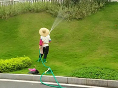 天津市西青区鑫达花卉经营部