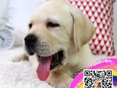 环奥名宠