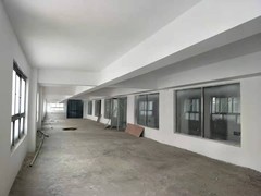 河南大果转租网1