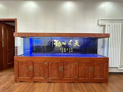 北京鱼缸清洗