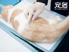 宠爱多环保科技有限公司