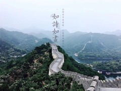 誠志天鴻