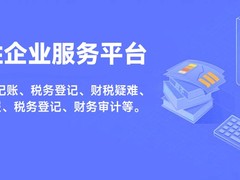 吉林市验资审计代理