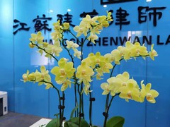 苏州债权债务律师