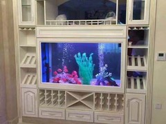 浙江湛龙水族用品有限公司
