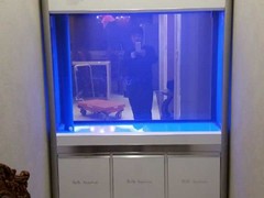 南京碧海水族