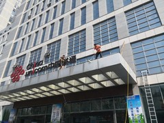 皇苹果除甲醛公司